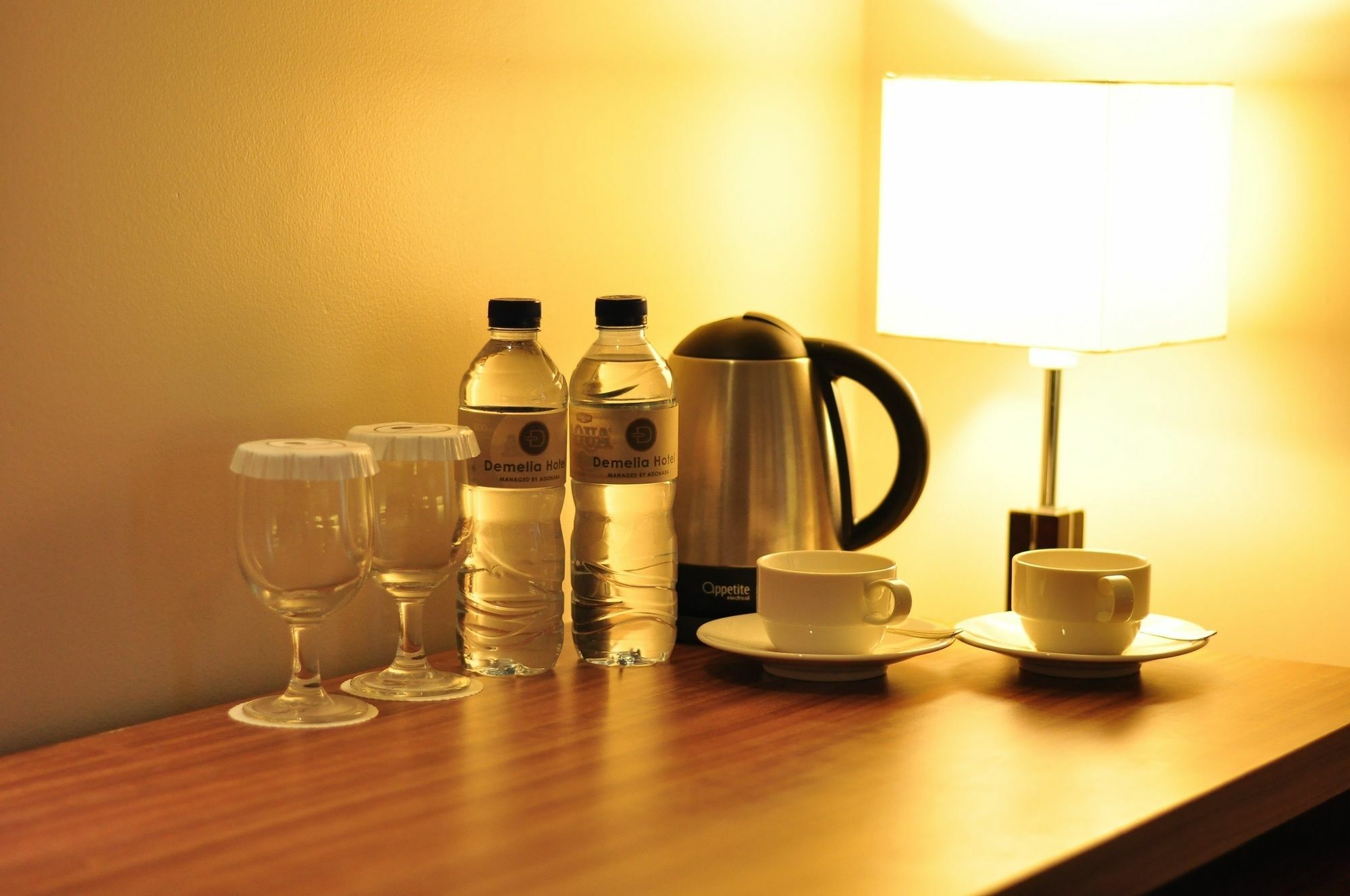 Demelia Hotel マカッサル エクステリア 写真